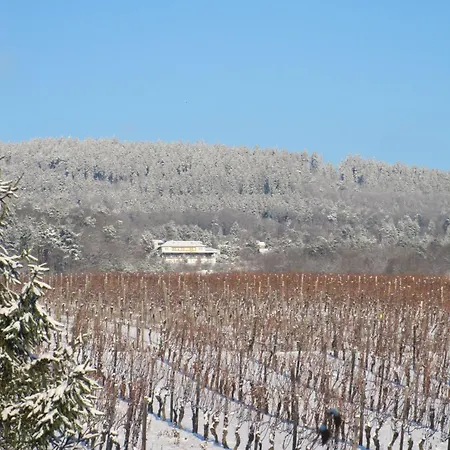 Vendégház Zum Rebhang