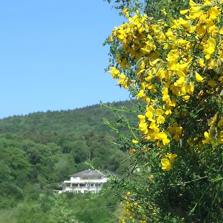 Pensjonat Zum Rebhang 3*