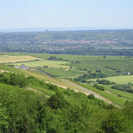 Vendégház Zum Rebhang 3*