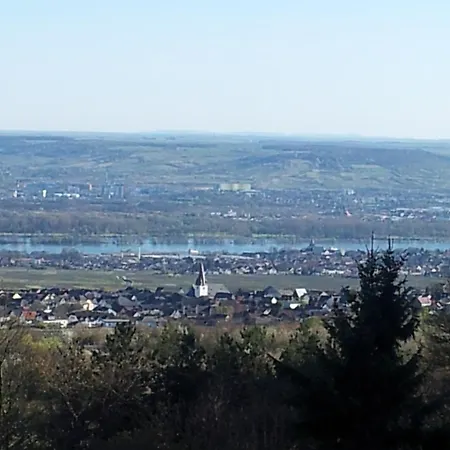 Zum Rebhang Pensjonat Oestrich-Winkel