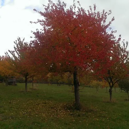 Vendégház Zum Rebhang
