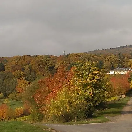 Vendégház Zum Rebhang 3*