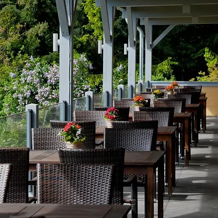 Pensjonat Zum Rebhang 3*