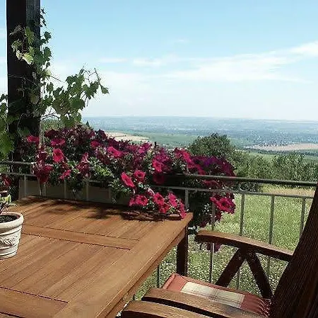 Pensjonat Zum Rebhang